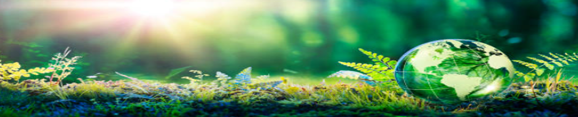 Environmental Image